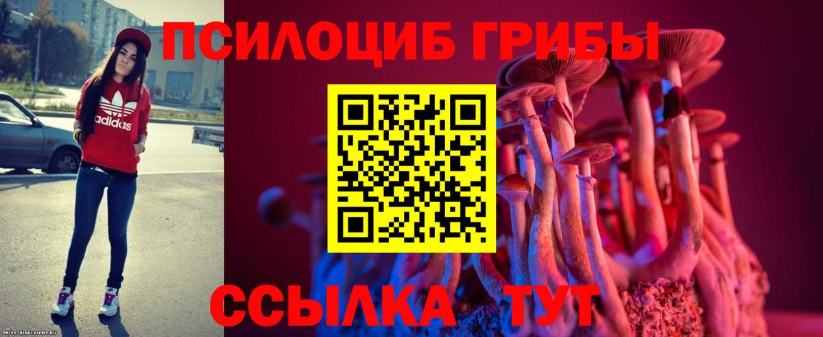 где можно купить наркотик  Галлюциногенные грибы Psilocybine cubensis  Вход с VPN  Юрга 